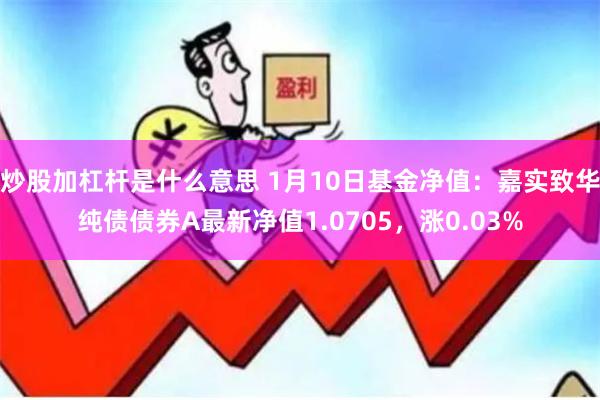 炒股加杠杆是什么意思 1月10日基金净值：嘉实致华纯债债券A最新净值1.0705，涨0.03%